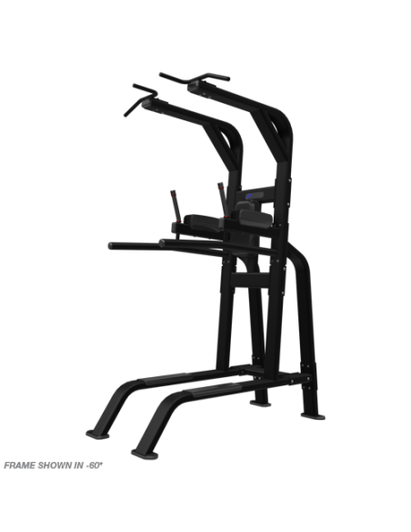 Pull-Up/Dip/Leg Raise 