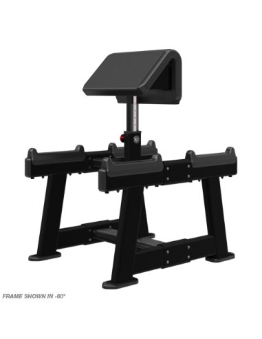 Standing Preacher Curl 