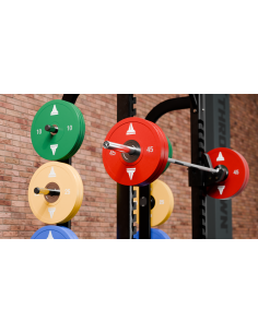 Urethane Bumper Plates  2