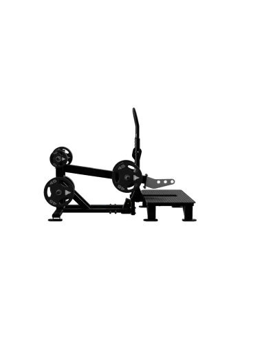 Nautilus Belt squat  plate loaded