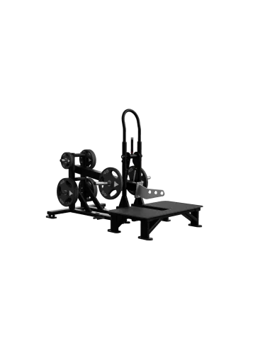 Nautilus Belt squat  plate loaded