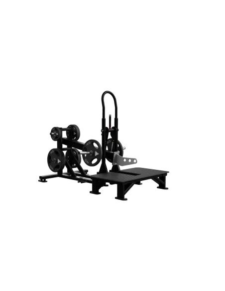 Nautilus Belt squat  plate loaded