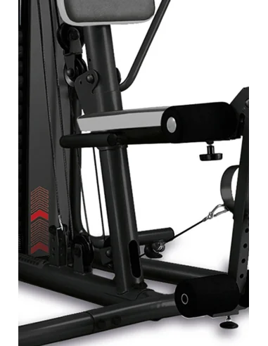 Appareil de Musculation - MULTIGYM PLUS BH FITNESS 