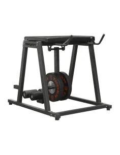 THORN+fit Reverse Hyper