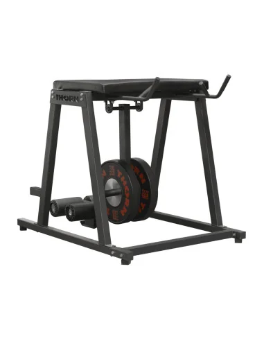 THORN+fit Reverse Hyper 