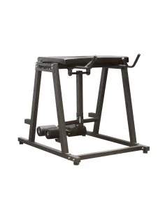 THORN+fit Reverse Hyper  2