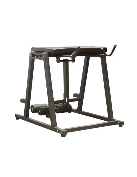 THORN+fit Reverse Hyper 