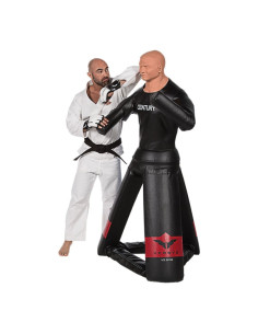 Base de frappe CENTURY Versys VS Bob  2