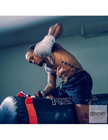 Base de frappe CENTURY Versys VS.1 Pro 