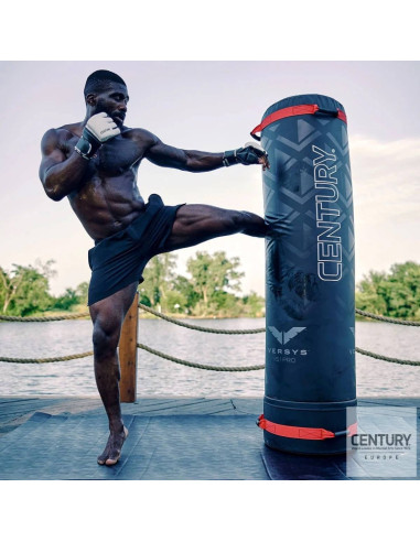 Base de frappe CENTURY Versys VS.1 Pro 