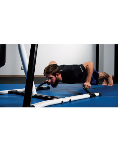 Portique d'entrainement Fitness CENTURY 