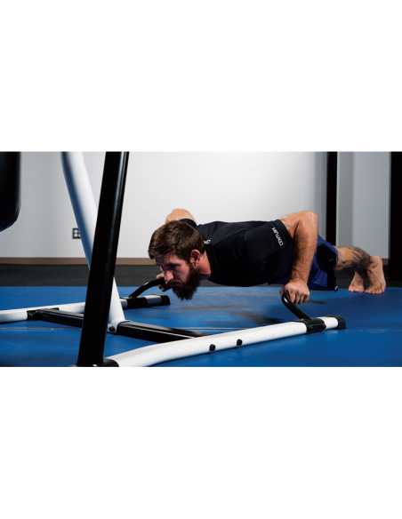 Portique d'entrainement Fitness CENTURY 