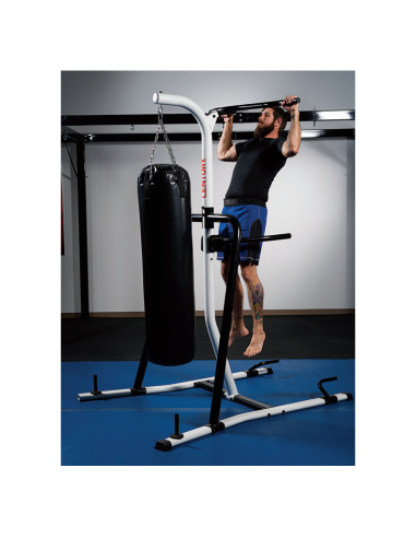 Portique d'entrainement Fitness CENTURY 