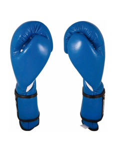 Gants de Boxe d'entrainement REYES Pro Bleu  2