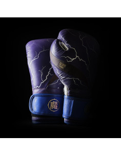 L'Elégant de boxe Dragon Ball Z X ELION Paris Edition Limitée Gohan  2