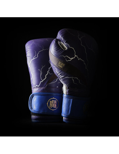 L'Elégant de boxe Dragon Ball Z X ELION Paris Edition Limitée Gohan 