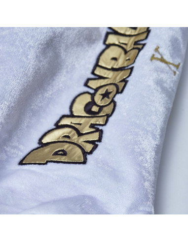 L'Arrogant de boxe Dragon Ball Z X ELION Paris Edition Limitée Frieza 