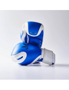 L'Arrogant de boxe Dragon Ball Z X ELION Paris Edition Limitée Majin Vegeta  2