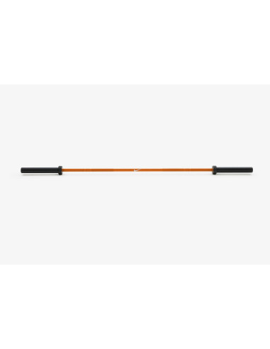 Nike Force Shield Barbell 20kg 