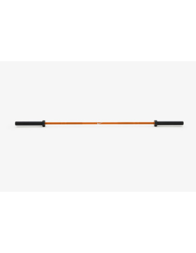 Nike Force Shield Barbell 20kg 