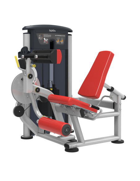 Quadriceps - Ischios IMPULSE   Quadriceps - Ischios IMPULSE