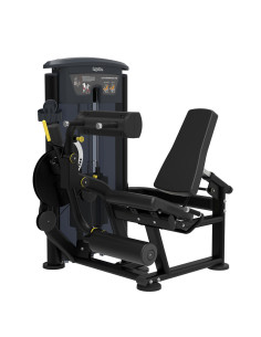 Quadriceps - Ischios IMPULSE   2