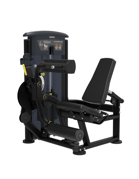 Quadriceps - Ischios IMPULSE   Quadriceps - Ischios IMPULSE