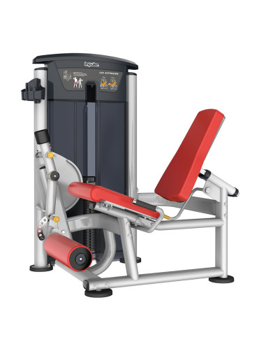 Quadriceps IMPULSE