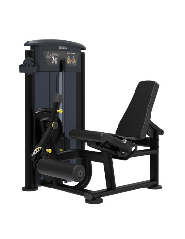 Quadriceps IMPULSE