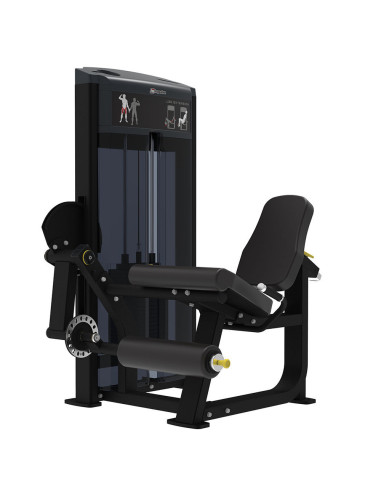 Quadriceps IMPULSE