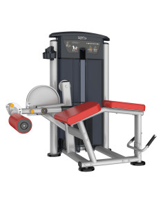 Ischios Couché IMPULSE  