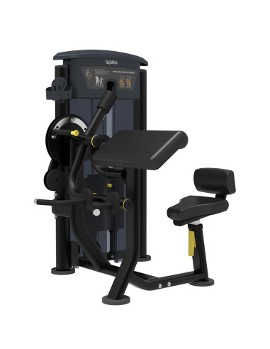 Biceps - Triceps IMPULSE