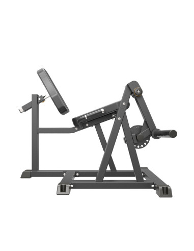 Leg Extension IMPULSE