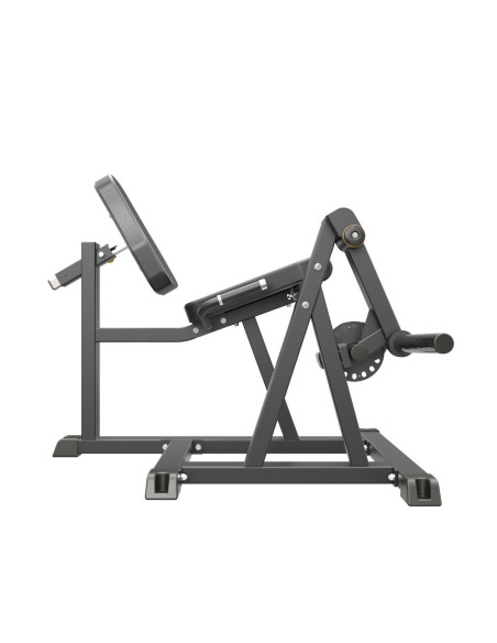 Leg Extension IMPULSE  Leg Extension IMPULSE
