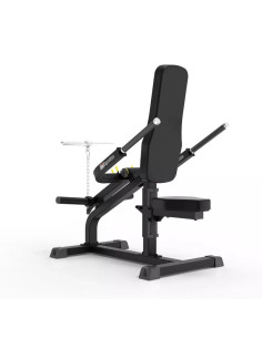 Biceps-Triceps IMPULSE 