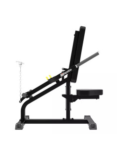 Biceps-Triceps IMPULSE  2