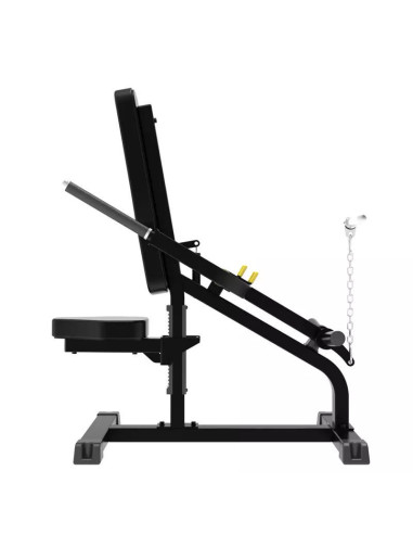 Biceps-Triceps IMPULSE