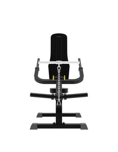 Biceps-Triceps IMPULSE