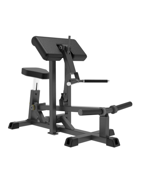 Biceps Curl IMPULSE  Biceps Curl IMPULSE