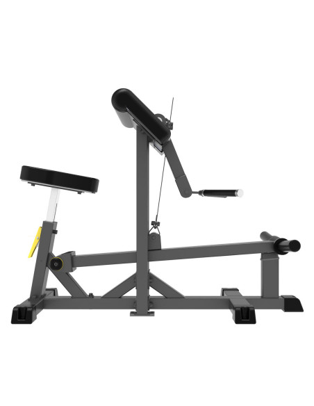 Biceps Curl IMPULSE  Biceps Curl IMPULSE