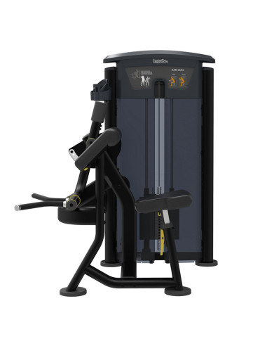Biceps Curl IMPULSE