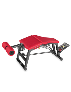 Air300 Leg Curl Pro 