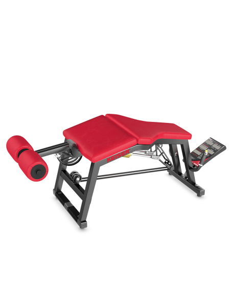 Air300 Leg Curl Pro 
