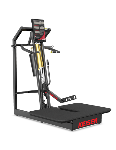 Air300 Belt Squat 