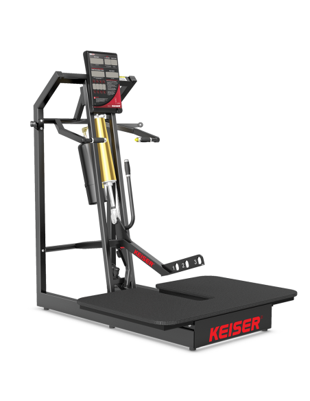 Air300 Belt Squat 