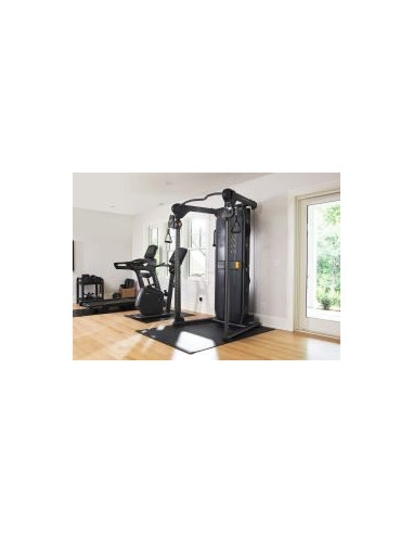 Functional Trainer FTR30 Matrix 