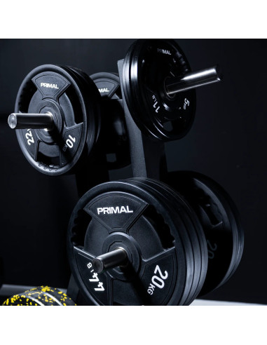 Arbre de rangement pour disques de poids de la série Primal Performance 