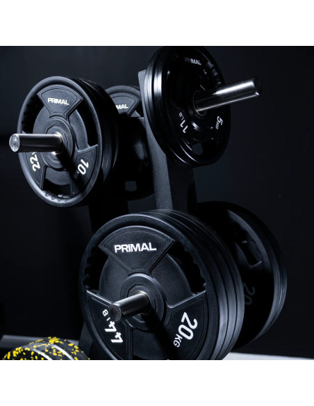 Arbre de rangement pour disques de poids de la série Primal Performance 