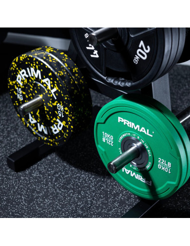 Arbre de rangement pour disques de poids de la série Primal Performance 