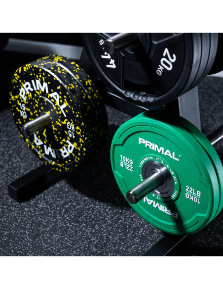 Arbre de rangement pour disques de poids de la série Primal Performance 